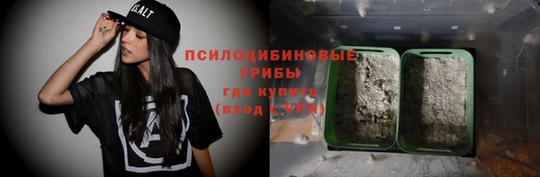 прущий лед Алзамай
