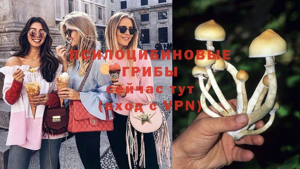 прущий лед Алзамай