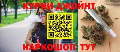 гидра Заводоуковск