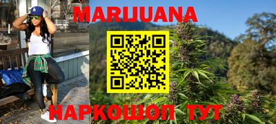 гидра Заводоуковск