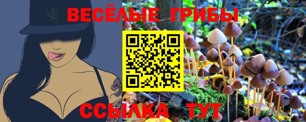 Галлюциногенные грибы MAGIC MUSHROOMS  Псилоцибиновые грибы мухоморы  Родники  Вход с VPN 